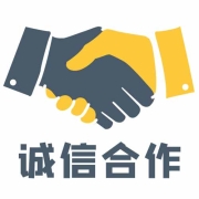 VIP会员服务费